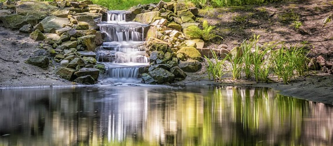 גיבוש דרך הרגלים